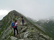 Sul monte CORNO STELLA (2620 m) in compagnia degli stambecchI l’8 agosto 2014  - FOTOGALLRY